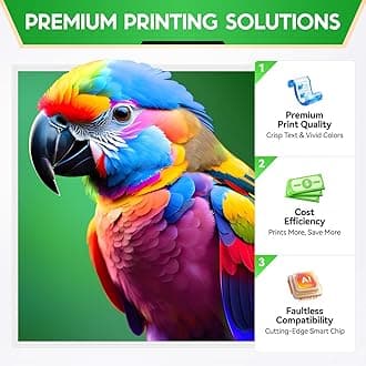 952XL Ink Cartridges Combo Pack Latest Upgrade Replacement for HP 952 High-yield Cartridge Color Officejet Pro 7740 8720 8710 8210 8715 8740 8702 8730 8725 7720 8216 Printer Black Cyan Magenta Yellow